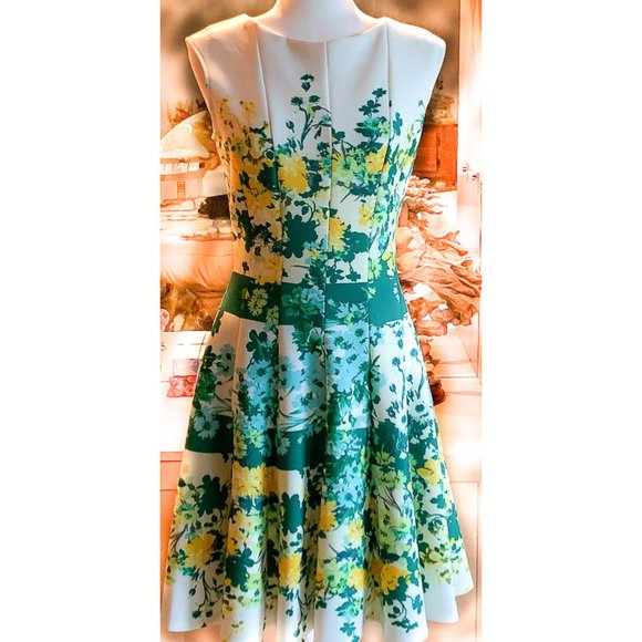 NWOT JULIAN TAYLOR SLEEVELESS FLARED DRESS  6 - Picture 1 of 5